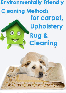 Carpet Stain Removal