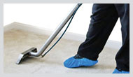 TX Dallas Carpet Cleaning