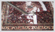 TX Dallas Rug Cleaning
